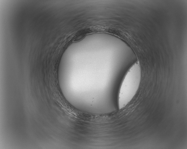 X0000060261201200510281000