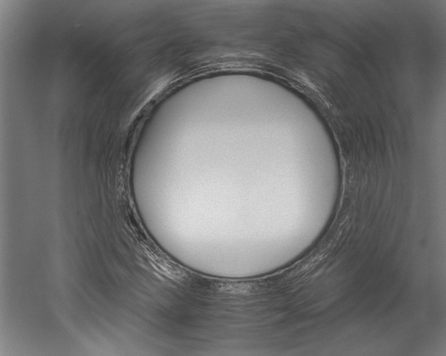 X0000060261211200510281000