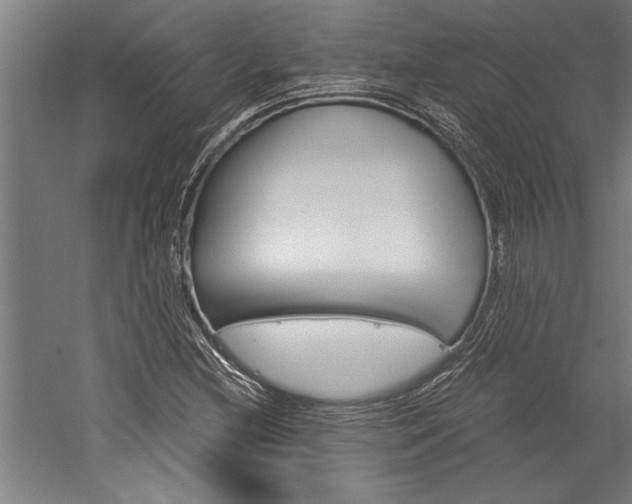 X0000060261212200510281000