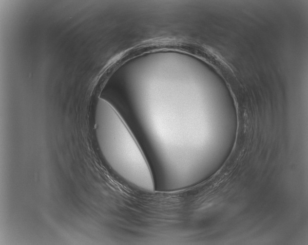 X0000060261213200510281000