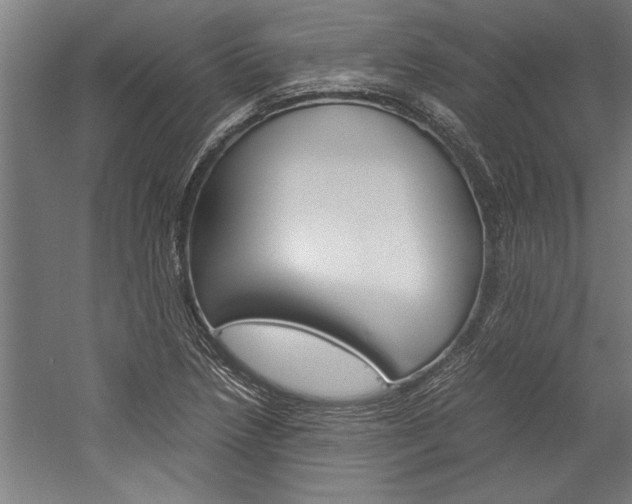 X0000060261218200510281000
