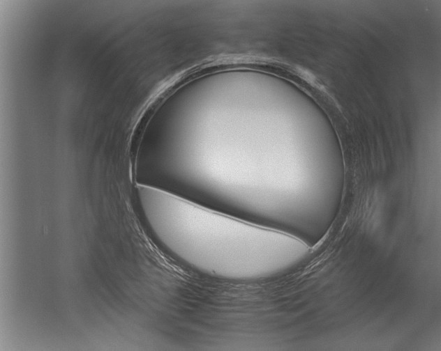 X0000060261221200510281000