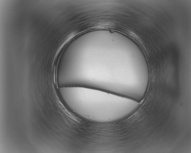 X0000060261227200510281000
