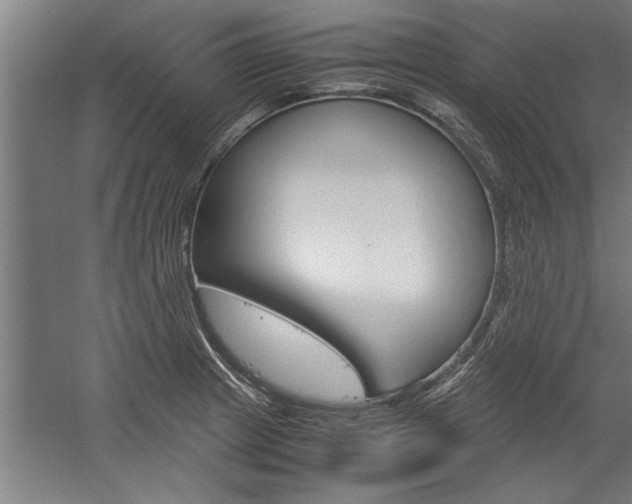 X0000060261233200510281000