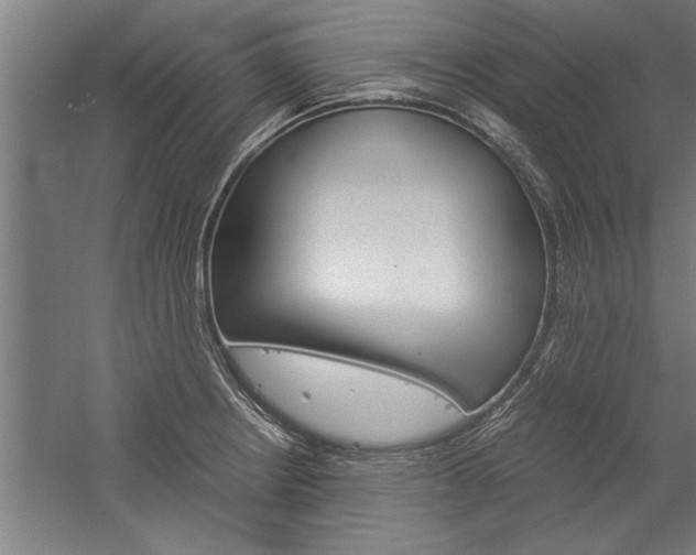 X0000060261234200510281000