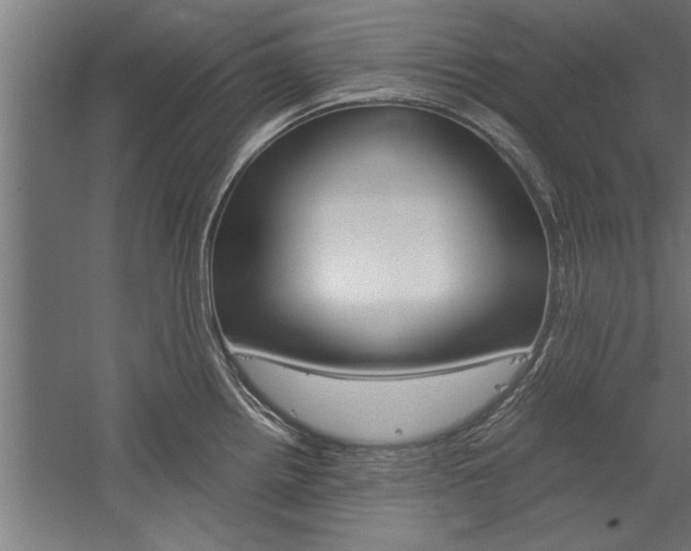 X0000060261242200510281000