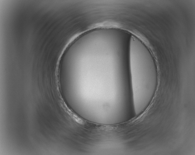 X0000060261248200510281001