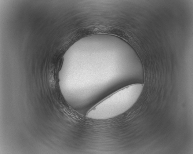 X0000060261250200510281000