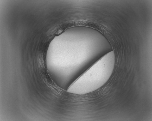 X0000060261252200510281000
