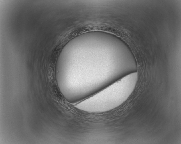X0000060261253200510281000