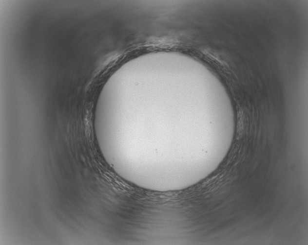 X0000060261254200510281000