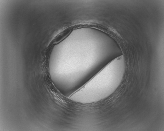 X0000060261256200510281000