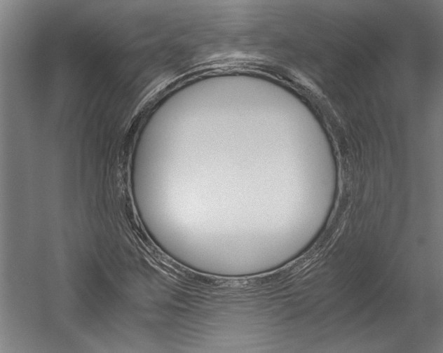 X0000060261259200510281000