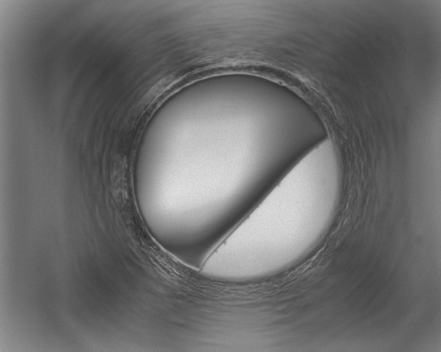 X0000060261265200510280959