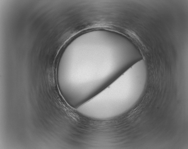 X0000060261268200510280959