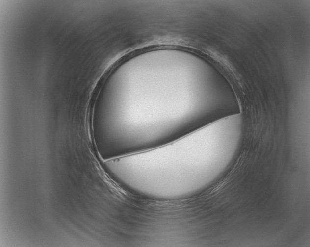 X0000060261272200510280959