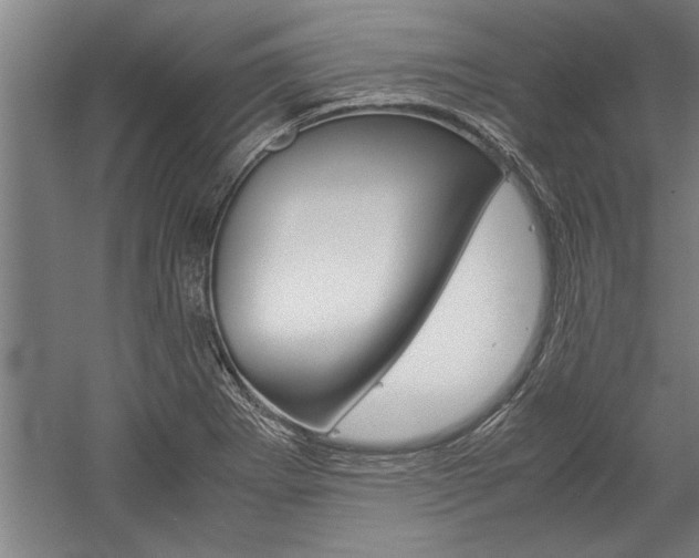 X0000060261273200510280959