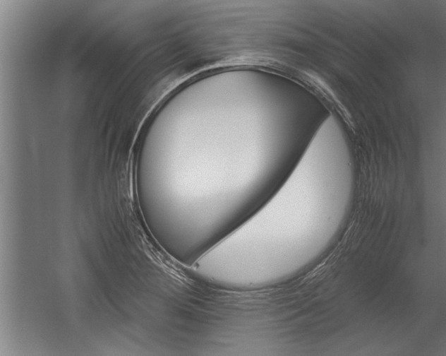 X0000060261276200510280959