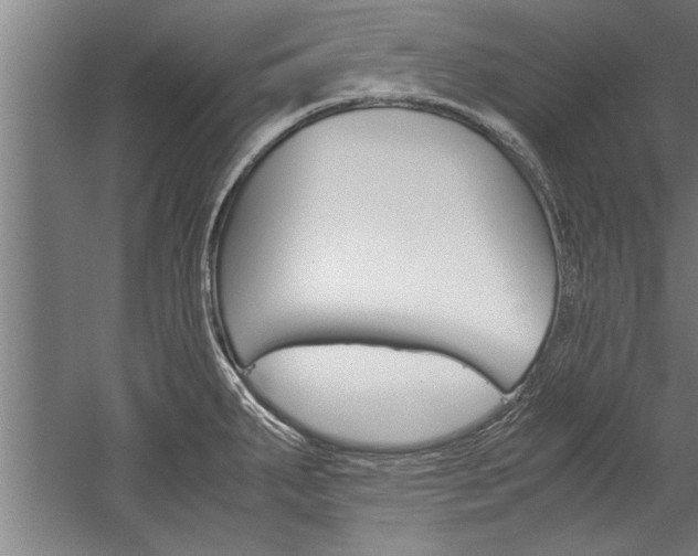 X0000060261287200510280959