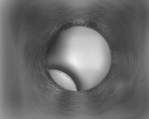 X0000060261297200510280958