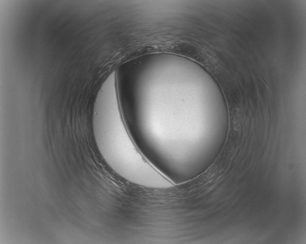 X0000060261298200510280958