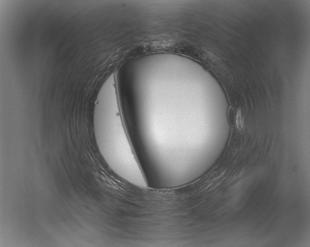 X0000060261299200510280958