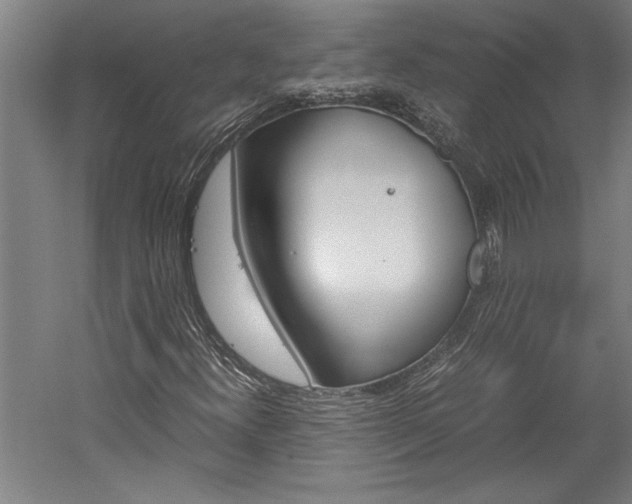 X0000060261300200510280958
