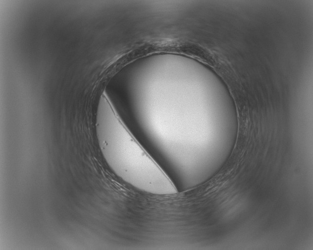 X0000060261301200510280958