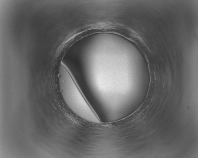 X0000060261304200510280958