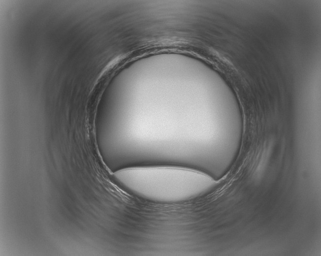 X0000060261306200510280958