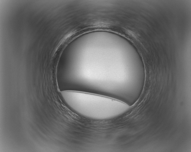X0000060261307200510280958
