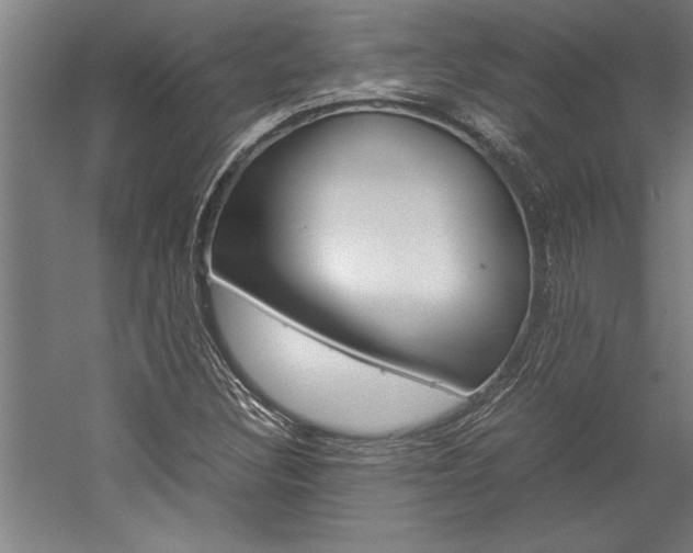 X0000060261308200510280958