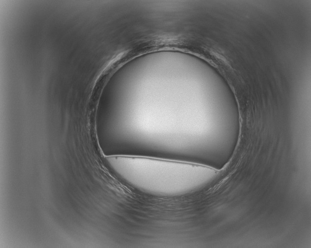 X0000060261309200510280958