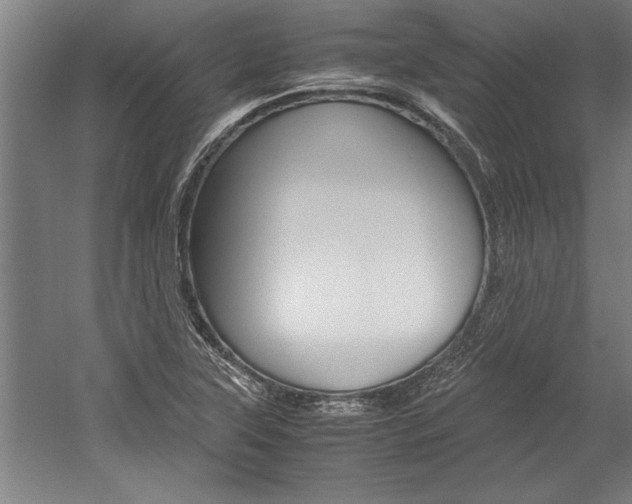 X0000060261315200510280958