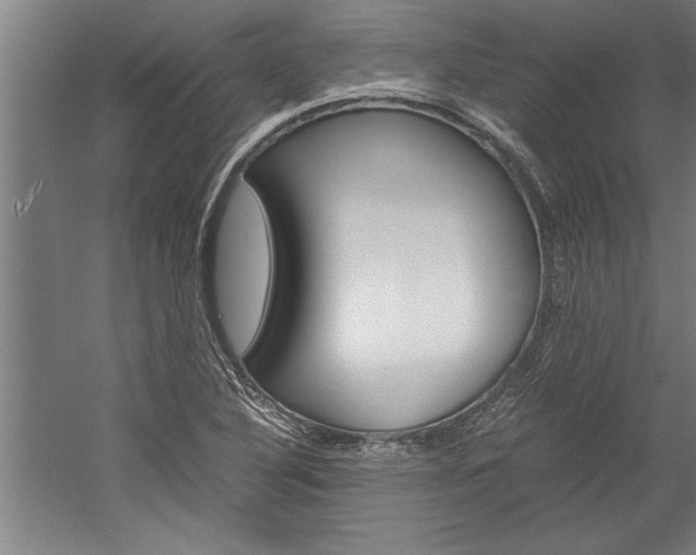 X0000060261316200510280958