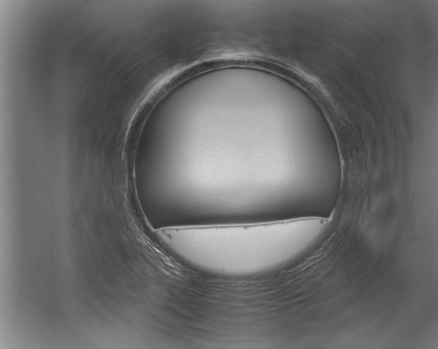 X0000060261319200510280958