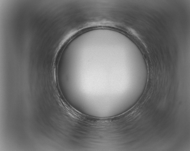 X0000060261320200510280959