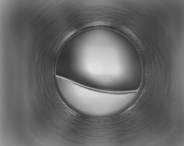 X0000060261321200510280959