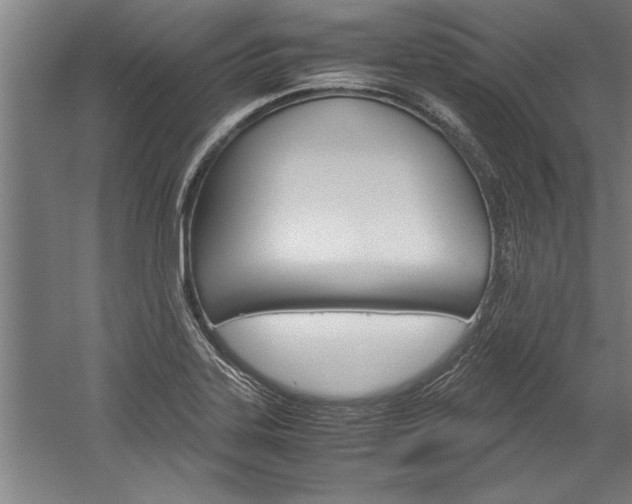 X0000060261323200510280959