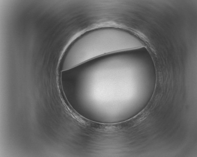 X0000060261326200510280959