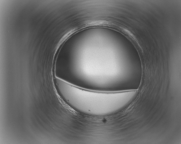X0000060261330200510280959