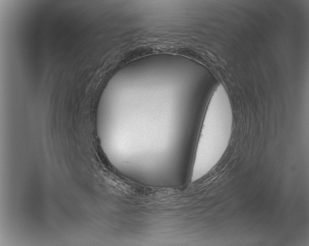 X0000060261345200510280958