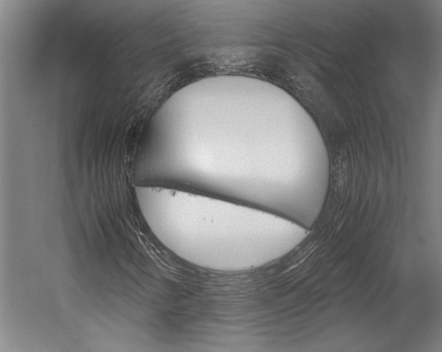 X0000060261346200510280958