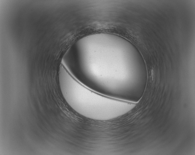 X0000060261348200510280958
