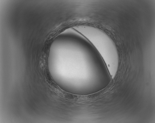 X0000060261349200510280958