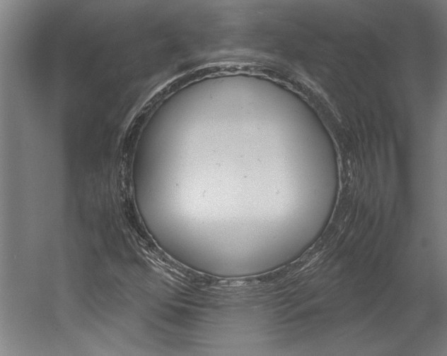 X0000060261352200510280958