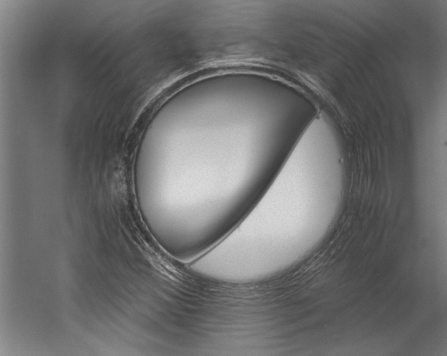 X0000060261356200510280958