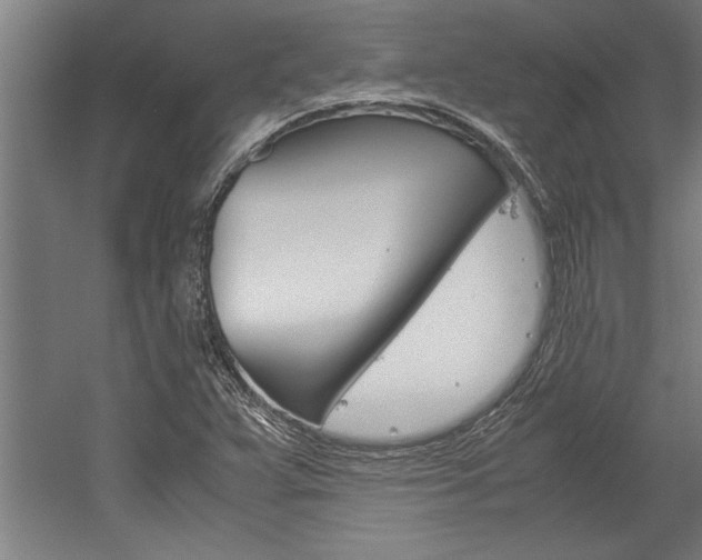 X0000060261359200510280958