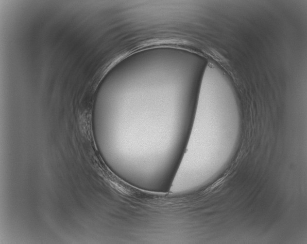 X0000060261369200510280958
