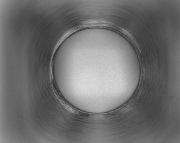 X0000060261370200510280958